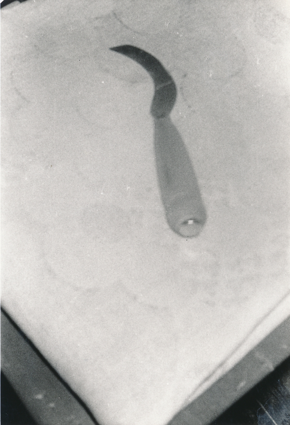 eika image
